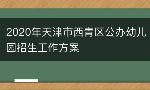2020年天津市西青区公办幼儿园招生工作方案