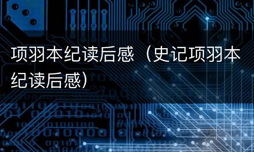 项羽本纪读后感（史记项羽本纪读后感）