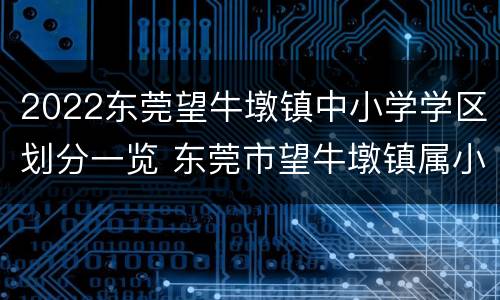 2022东莞望牛墩镇中小学学区划分一览 东莞市望牛墩镇属小学