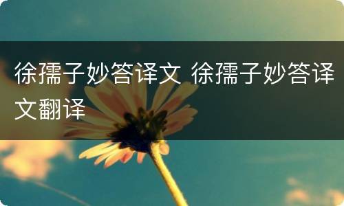 徐孺子妙答译文 徐孺子妙答译文翻译