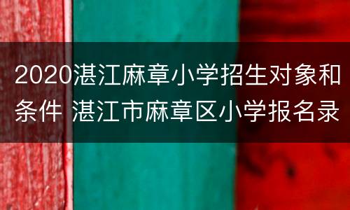 2020湛江麻章小学招生对象和条件 湛江市麻章区小学报名录取学校结果