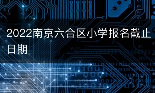 2022南京六合区小学报名截止日期