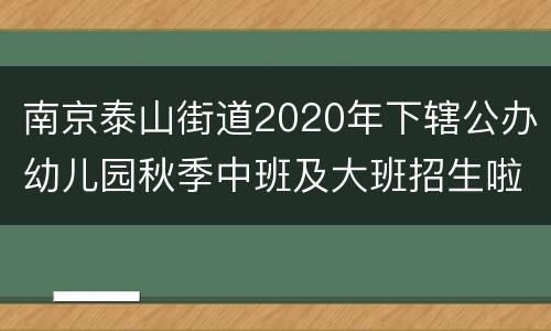 南京泰山街道2020年下辖公办幼儿园秋季中班及大班招生啦