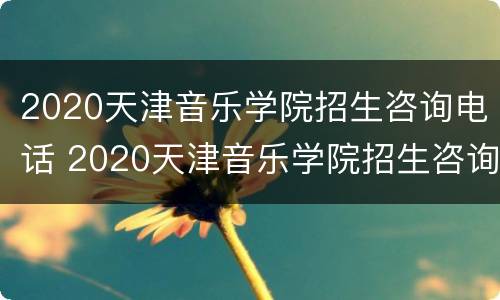 2020天津音乐学院招生咨询电话 2020天津音乐学院招生咨询电话号码