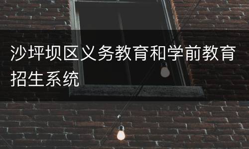 沙坪坝区义务教育和学前教育招生系统