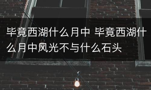 毕竟西湖什么月中 毕竟西湖什么月中风光不与什么石头