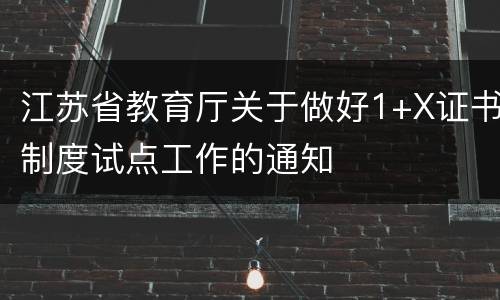 江苏省教育厅关于做好1+X证书制度试点工作的通知