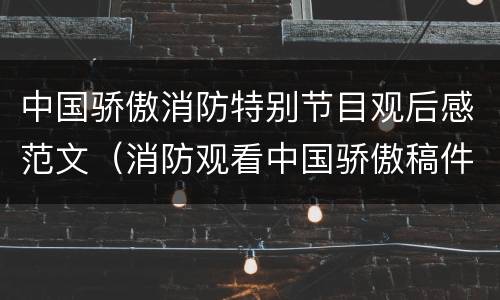 中国骄傲消防特别节目观后感范文（消防观看中国骄傲稿件）