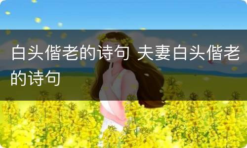 白头偕老的诗句 夫妻白头偕老的诗句