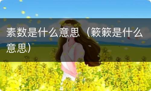 素数是什么意思（簌簌是什么意思）