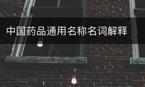 中国药品通用名称名词解释