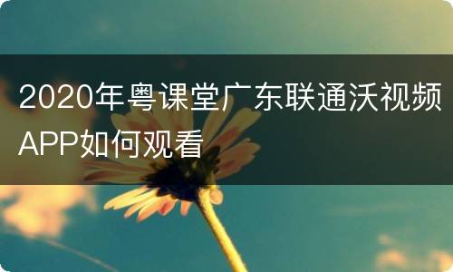 2020年粤课堂广东联通沃视频APP如何观看