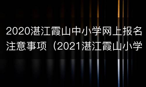 2020湛江霞山中小学网上报名注意事项（2021湛江霞山小学报名时间）