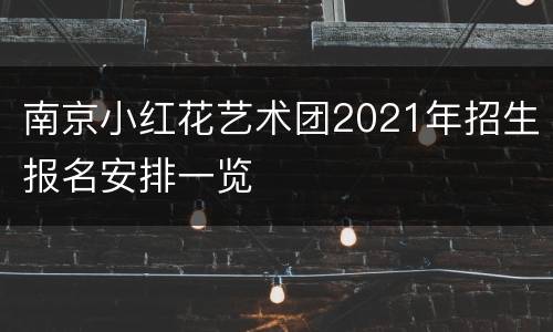 南京小红花艺术团2021年招生报名安排一览