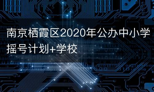 南京栖霞区2020年公办中小学摇号计划+学校