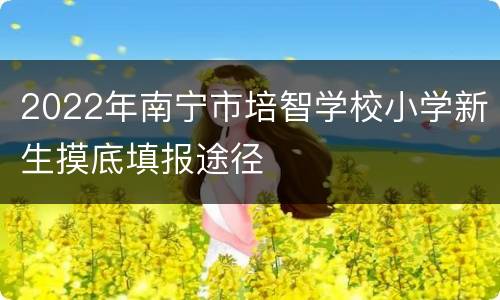 2022年南宁市培智学校小学新生摸底填报途径