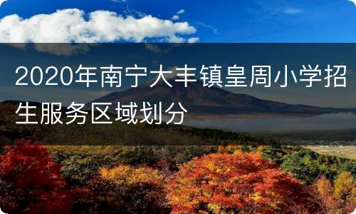 2020年南宁大丰镇皇周小学招生服务区域划分