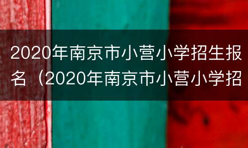 2020年南京市小营小学招生报名（2020年南京市小营小学招生报名情况）