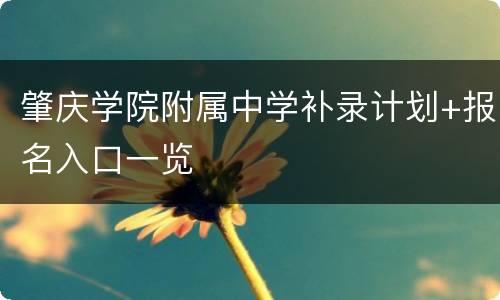 肇庆学院附属中学补录计划+报名入口一览