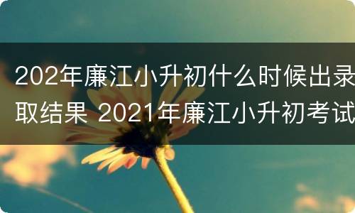 202年廉江小升初什么时候出录取结果 2021年廉江小升初考试时间