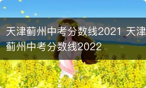 天津蓟州中考分数线2021 天津蓟州中考分数线2022