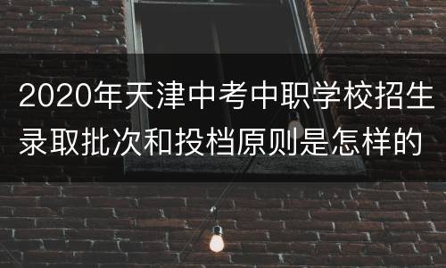 2020年天津中考中职学校招生录取批次和投档原则是怎样的