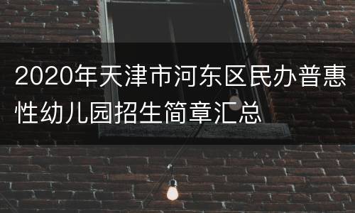 2020年天津市河东区民办普惠性幼儿园招生简章汇总