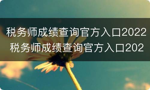 税务师成绩查询官方入口2022 税务师成绩查询官方入口2020