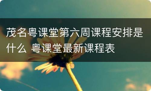 茂名粤课堂第六周课程安排是什么 粤课堂最新课程表