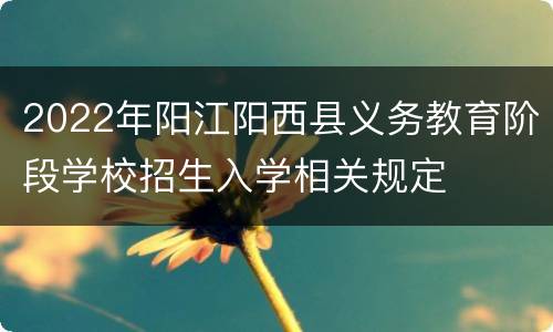 2022年阳江阳西县义务教育阶段学校招生入学相关规定