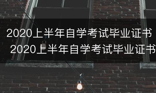 2020上半年自学考试毕业证书 2020上半年自学考试毕业证书发放时间