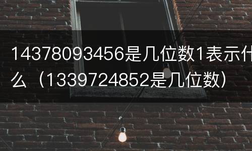 14378093456是几位数1表示什么（1339724852是几位数）