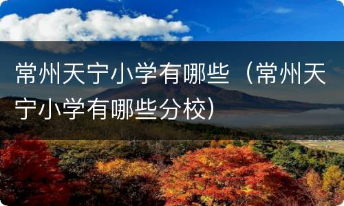 常州天宁小学有哪些（常州天宁小学有哪些分校）