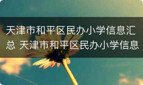 天津市和平区民办小学信息汇总 天津市和平区民办小学信息汇总表格
