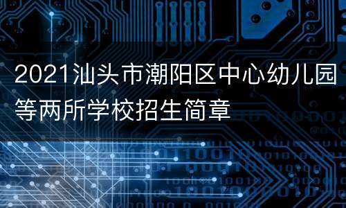2021汕头市潮阳区中心幼儿园等两所学校招生简章