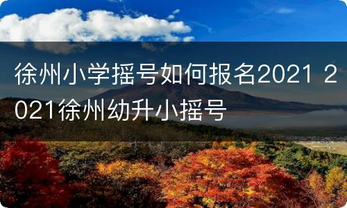 徐州小学摇号如何报名2021 2021徐州幼升小摇号