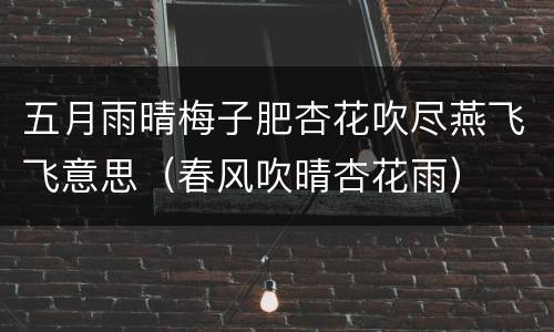 五月雨晴梅子肥杏花吹尽燕飞飞意思（春风吹晴杏花雨）