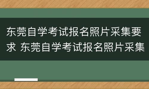 东莞自学考试报名照片采集要求 东莞自学考试报名照片采集要求是什么