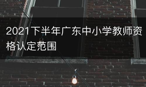 2021下半年广东中小学教师资格认定范围
