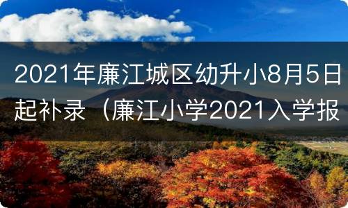 2021年廉江城区幼升小8月5日起补录（廉江小学2021入学报名网站）