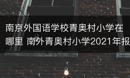 南京外国语学校青奥村小学在哪里 南外青奥村小学2021年报名