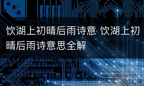 饮湖上初晴后雨诗意 饮湖上初晴后雨诗意思全解