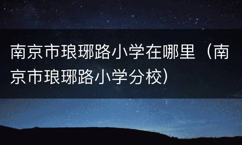 南京市琅琊路小学在哪里（南京市琅琊路小学分校）