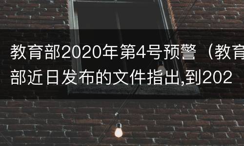 教育部2020年第4号预警（教育部近日发布的文件指出,到2020年底）