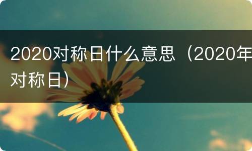 2020对称日什么意思（2020年对称日）