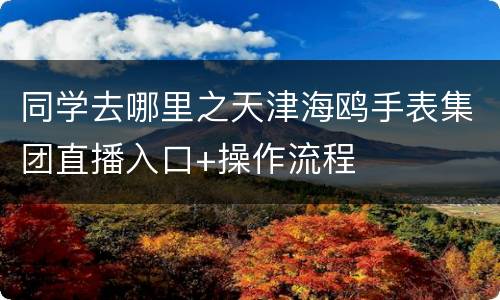 同学去哪里之天津海鸥手表集团直播入口+操作流程