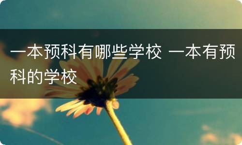 一本预科有哪些学校 一本有预科的学校