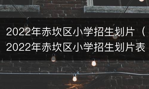2022年赤坎区小学招生划片（2022年赤坎区小学招生划片表）