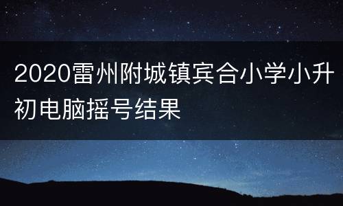 2020雷州附城镇宾合小学小升初电脑摇号结果