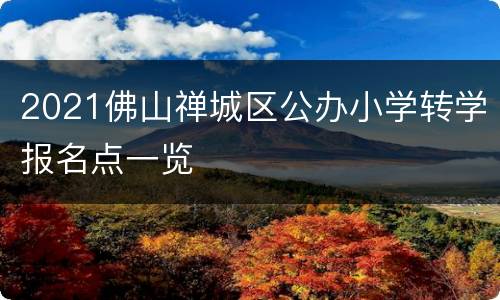 2021佛山禅城区公办小学转学报名点一览